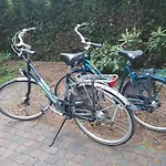 Vliegend Hert Direct In De Op De Veluwe בית נופש