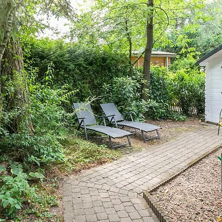 Vliegend Hert, Direct In De Op De Veluwe * エムスト