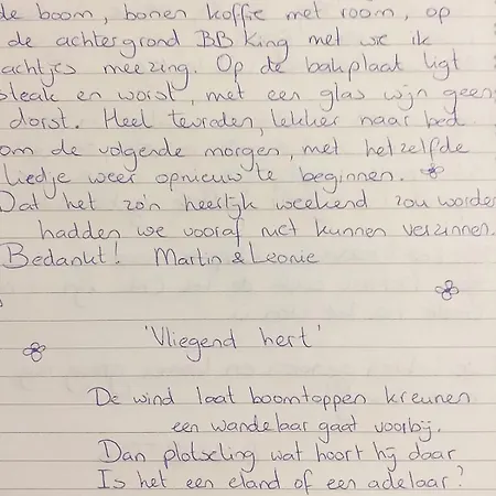 Vliegend Hert Direct In De Op De Veluwe בית נופש
