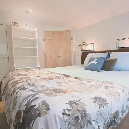 Vliegend Hert Direct In De Op De Veluwe Semesterbostad *