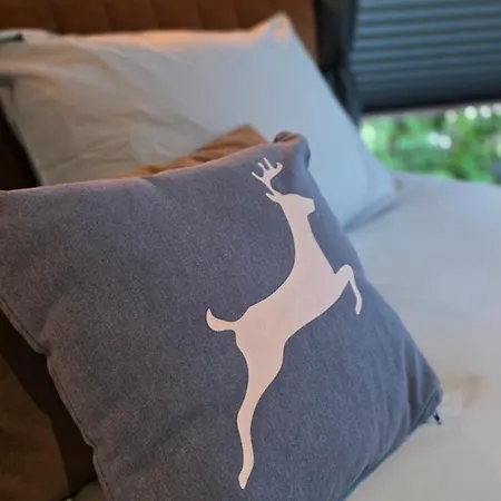 別荘 Vliegend Hert, Direct In De Op De Veluwe エムスト