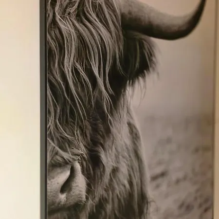 Vliegend Hert, Direct In De Op De Veluwe 別荘 *