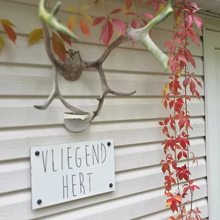 Vliegend Hert Direct In De Op De Veluwe * אמסט