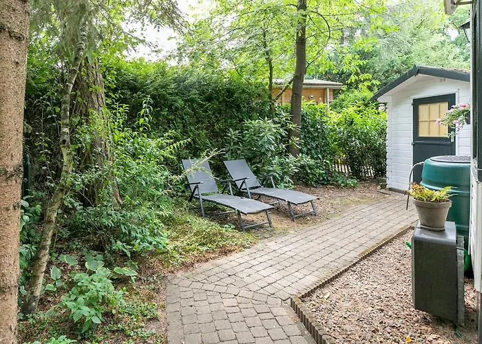 Vliegend Hert Direct In De Op De Veluwe * Emst