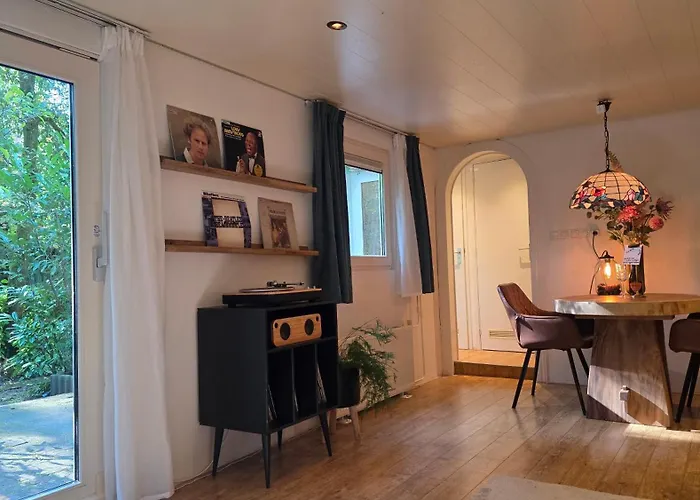 Vliegend Hert Direct In De Op De Veluwe Semesterbostad