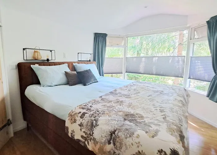 Vliegend Hert Direct In De Op De Veluwe Semesterbostad Emst