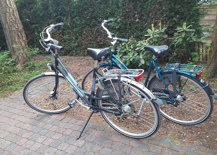 Vliegend Hert Direct In De Op De Veluwe Semesterbostad