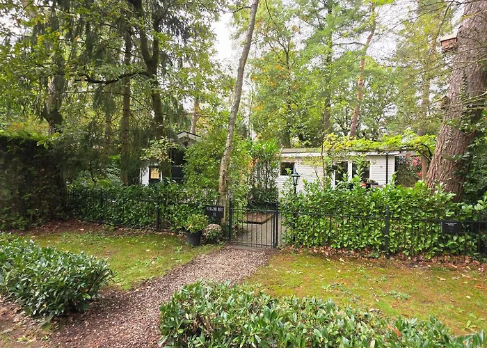 Vliegend Hert Direct In De Op De Veluwe * Emst