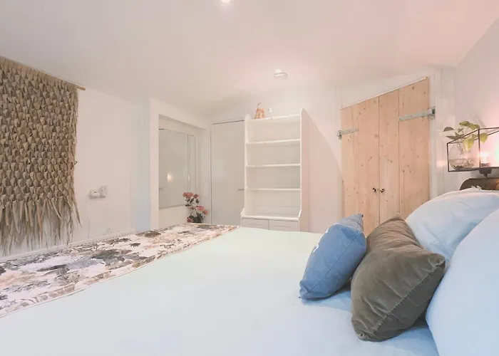 Vliegend Hert Direct In De Op De Veluwe *