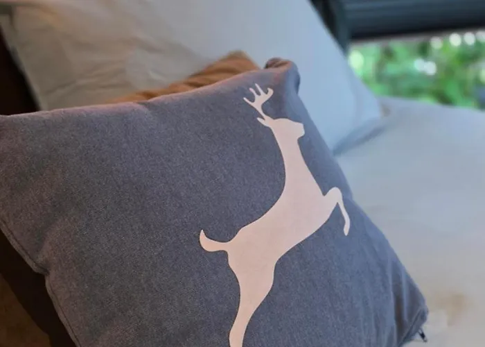 Semesterbostad Vliegend Hert Direct In De Op De Veluwe Emst