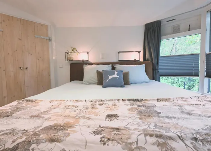 Vliegend Hert Direct In De Op De Veluwe *