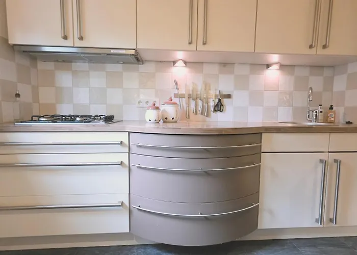 Vliegend Hert Direct In De Op De Veluwe Emst