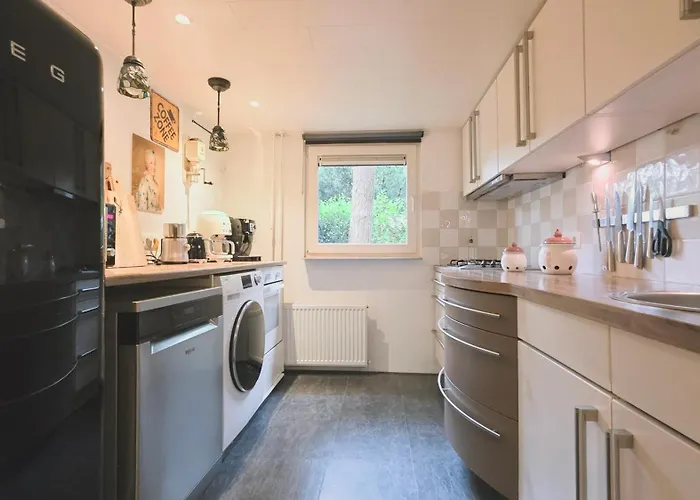 Vliegend Hert Direct In De Op De Veluwe * Emst