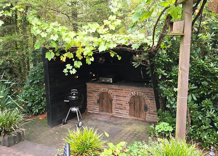 Vliegend Hert Direct In De Op De Veluwe