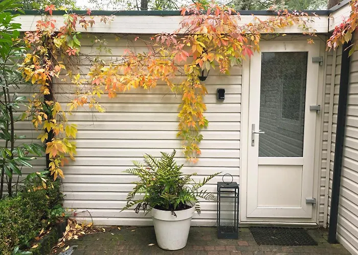 Vliegend Hert Direct In De Op De Veluwe Semesterbostad *