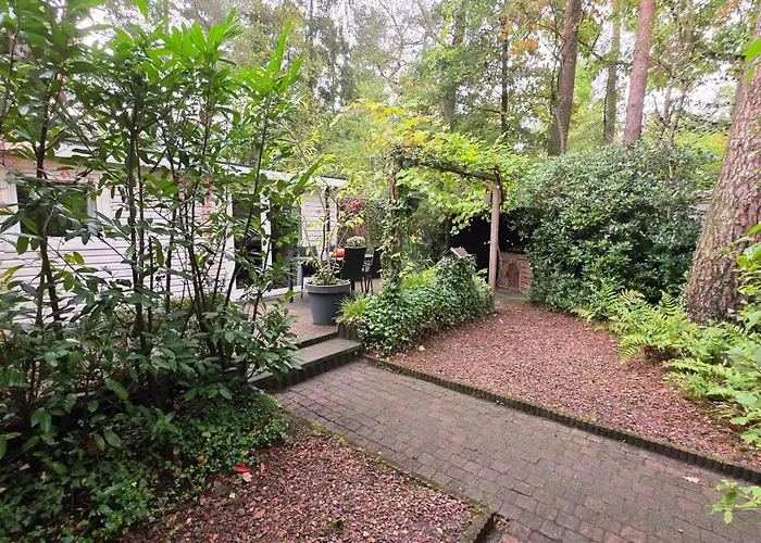 Vliegend Hert Direct In De Op De Veluwe Semesterbostad *