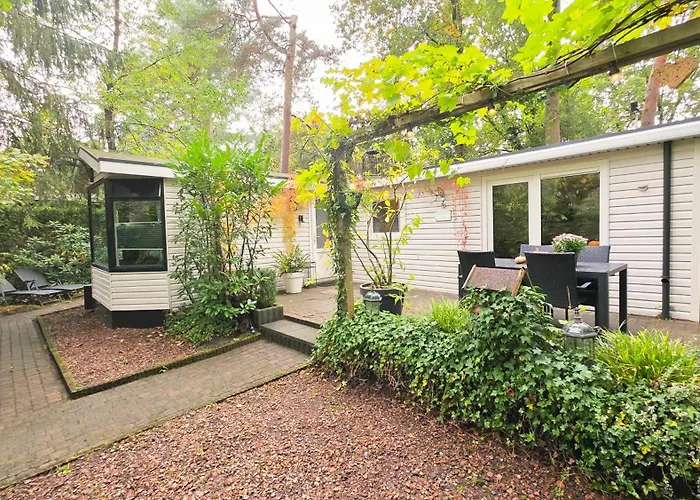 Vliegend Hert Direct In De Op De Veluwe * Emst