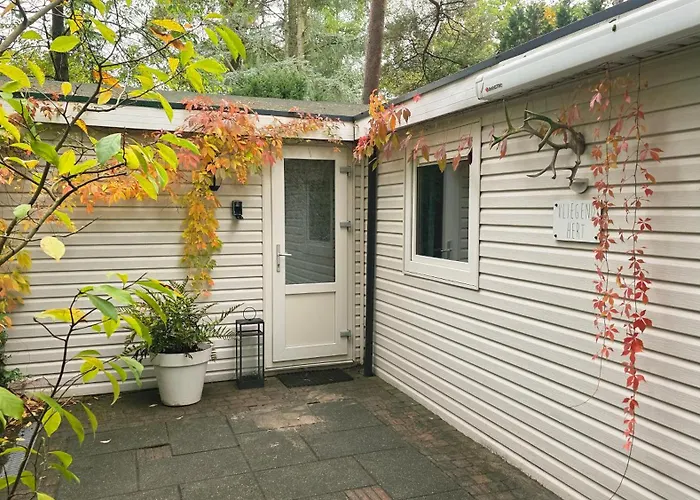 Vliegend Hert Direct In De Op De Veluwe Semesterbostad Emst