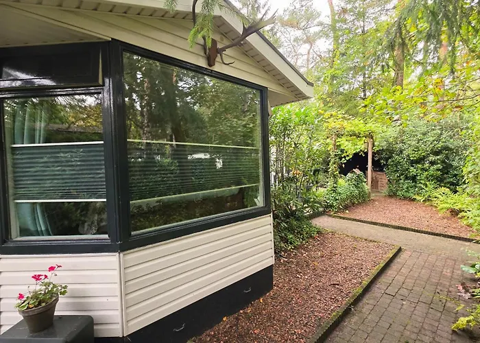 Vliegend Hert Direct In De Op De Veluwe Semesterbostad Emst