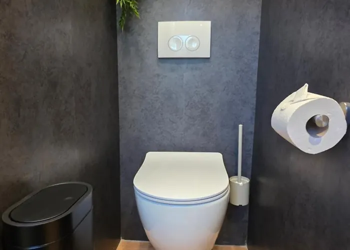 Vliegend Hert Direct In De Op De Veluwe Semesterbostad *