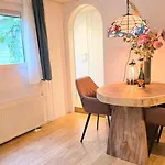 Vliegend Hert Direct In De Op De Veluwe Semesterbostad