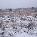 Vliegend Hert Direct In De Op De Veluwe Semesterbostad *