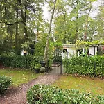 Vliegend Hert Direct In De Op De Veluwe * Emst