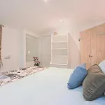 Vliegend Hert Direct In De Op De Veluwe *
