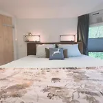 Vliegend Hert Direct In De Op De Veluwe *