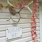 Vliegend Hert Direct In De Op De Veluwe * Emst