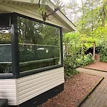 Vliegend Hert Direct In De Op De Veluwe Semesterbostad Emst