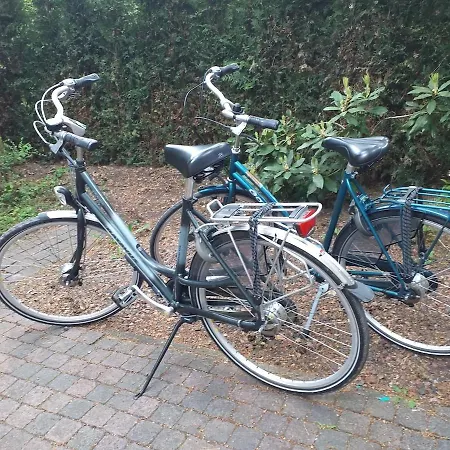 Vliegend Hert Direct In De Op De Veluwe Дом отдыха