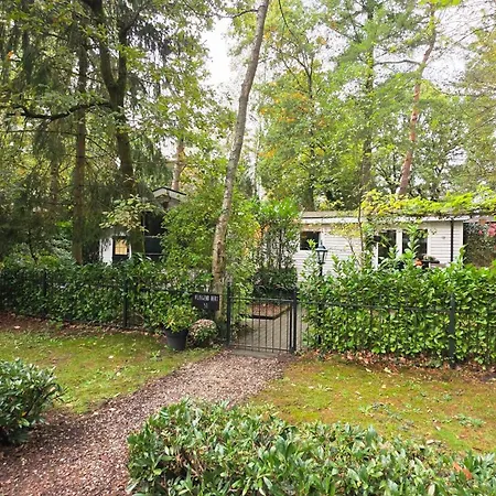 Vliegend Hert Direct In De Op De Veluwe * Эмст