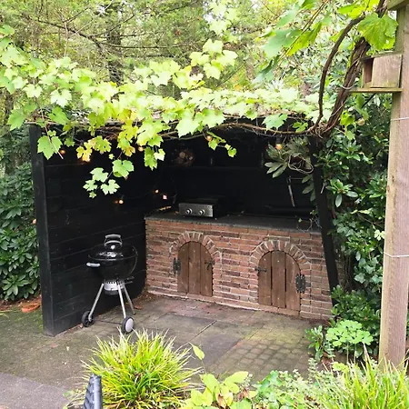 Vliegend Hert Direct In De Op De Veluwe