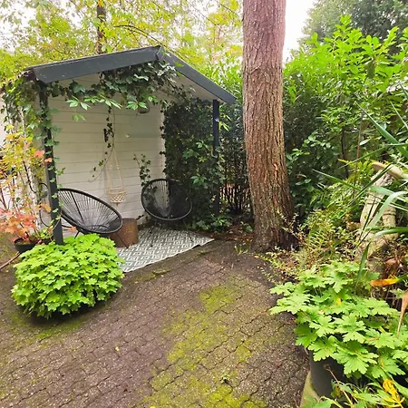 Vliegend Hert Direct In De Op De Veluwe * Emst