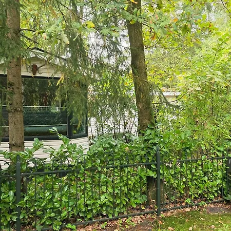 Vliegend Hert Direct In De Op De Veluwe Emst