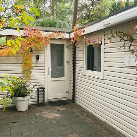Vliegend Hert Direct In De Op De Veluwe Semesterbostad Emst